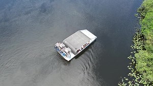 45 shares | Get ready for heart-pumping action! ‍♀️ Everglades Holiday Park offers the biggest, safest & most thrilling way to see the Everglades and Gators! Experience unforgettable gator shows and animal encounters!  #EvergladesAdventures | Everglades Holiday Park | Facebook