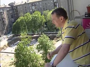 Профессия Репортер - Baby Bum (Episode from ASHPIDYTU for 2011)