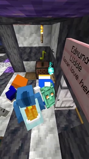 Avg Day In A Minecraft Server