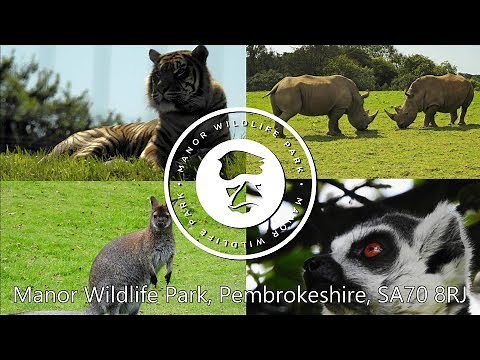Manor Wildlife Park - Tenby, South Wales