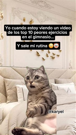 Ese video está mal ! 🧐🤣 #gatos videos graciosos #gatitos #humor #risa #shorts #memes videos de risa