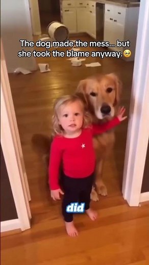 “I Ate My Dog’s Homework!” 🤣