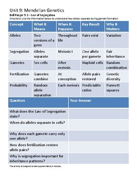 Biology Bell Ringer 9.3 – Law of Segregation | Low-Prep Biology Activity
