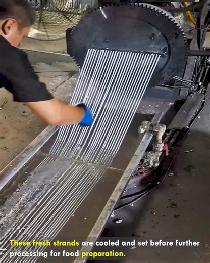 331K views · 201 reactions | Long Noodle Strands Processed In Factory #NoodleMaking #FoodFactory #FreshNoodles #FoodProcessing #StreetFoodFactory | lamaestramiel | Facebook
