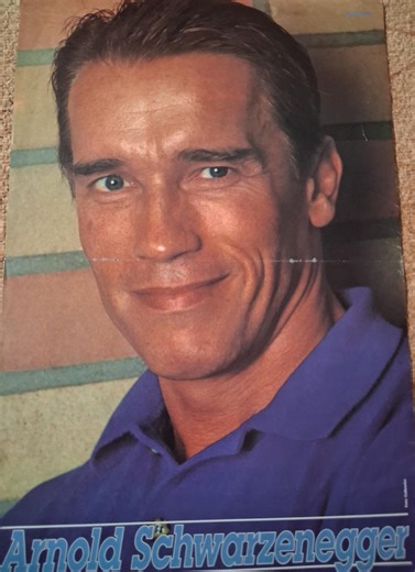 Arnold Schwarzenegger Poster - Etsy