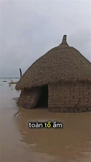 Lũ Lụt Cuốn Trôi Nhà Cửa Và Cuộc Chạm Trán Ác Thú #facts
