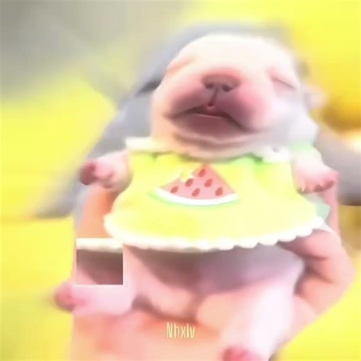 wash ma belly😈#memes #meme #belly #minecraft #funny #vibrantvisuals #raytracing #shorts #shorts