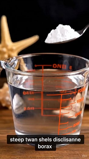 30K views · 475 reactions | Borax Crystal Seashells The kind of...