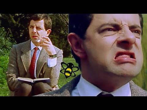 Bumble BEAN | Mr Bean Full Episodes | Mr Bean Official