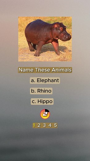 Animals Test #englishvocabulary #animals #quiz