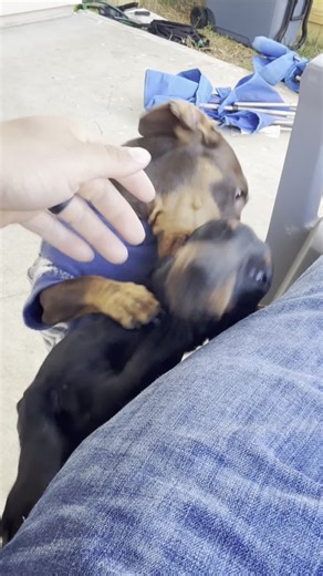 Jose Rubio (@jose7797)’s videos with original sound - Skincare |UGC Creater Alsa