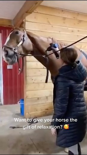 Horse Lovers on Instagram: "Give your horse the gift of relaxation with @equs.pro Link in their bio. 🐴❤️ Use code 'BLACKFRIDAY' for an extra discount! ➡️ equspro.com"