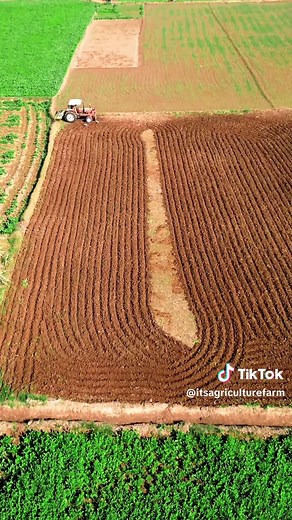 Exploring the Role of Tractors in Modern Agriculture