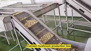 Fully Automatic Button Mushroom Canning Machine Production Line Process Mushroom Production Equipment
