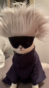 3.8K views · 204 reactions | Gojo Satoru Cat—Jujutsu Kaisen Video by:twitter/@minxlll #jujutsukaisen #satorugojo #gojosatoru #gojosatorucosplay #catcosplay #cat #cute | Cosskyoffcial | Facebook