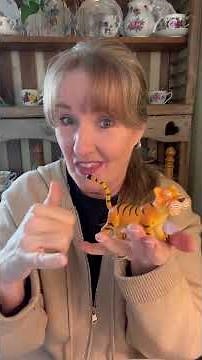 What’s that? Animals zoo ASL