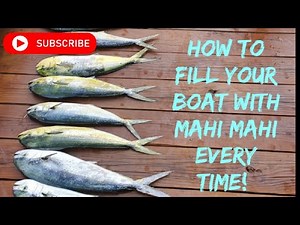 New Jersey fishing - HOW to catch Mahi-mahi