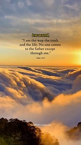 10K views · 959 reactions | In Christ alone  #thebridestestimonies #christianreels #MakingJesusViral #WordOfGod #ThankGod #bibleverses #peaceofmind #Godisgood #christiantestimony #ServeGod #Repent #bibleverseoftheday #ServingGod #GodsPromises #FearGod #inspirational #journaling #dailyinspiration #trustgodsplan #Godsdirection #godsays #Godspromises #breakthrough #Godslove #PraiseGod #bibleverse #dailyscripture #SeekGodFirst | The BRIDE's Testimonies | Facebook