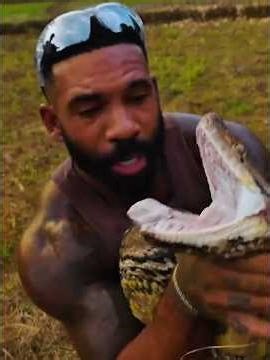 This 200KG Python Thought It Could Win… Big Mistake 🐍💀 #shorts