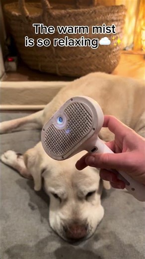 Wait for the pancake🥞😮‍💨