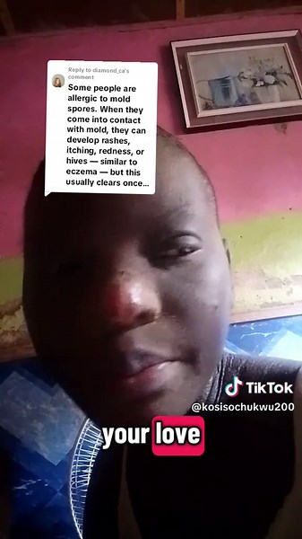 Understanding House Mold Issues: A Must-See Tour