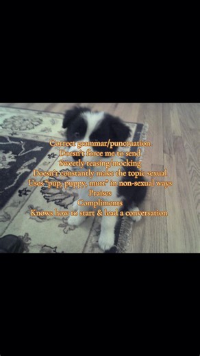 Exploring Non-Sexual Pet Names for Puppy Lovers