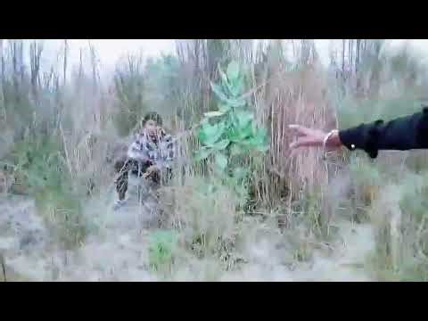 1 fast blok new block party ¹ #block #funny #comedy #pale #viral #viral_video