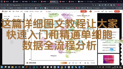 这篇详细图文教程让大家快速入门和精通单细胞数据全流程分析