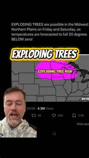 Well here’s a new #weather term (or one I learned about) - exploding trees! It’s a thing. #Michigan | Big Jim's House
