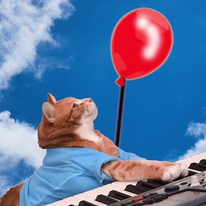 Keyboard Cat on Reels