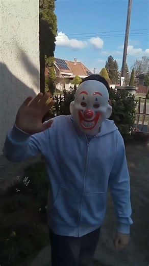 A bohóc ajándékot hozott Mázlinak! #mázli #kutya #ajándék #shorts