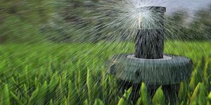 Making ends meet: water and MSD bill explained