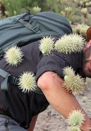 Brave Wilderness S02:E06 - Extreme Nature