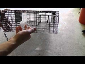 Rugged Ranch Ratinator rat trap review and weaknesses