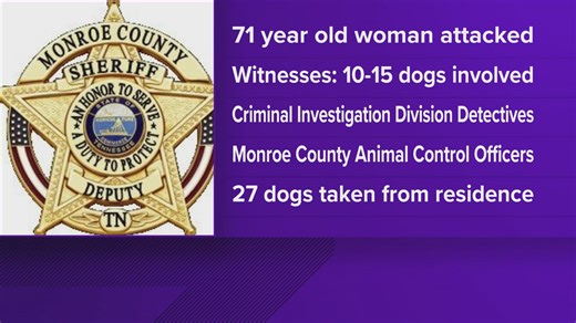 42K views · 457 reactions | Following the attack on 71-year-old Mary Norwood, four people have been arrested and 27 dogs have been taken by Animal Control. | WBIR Channel 10 | Facebook