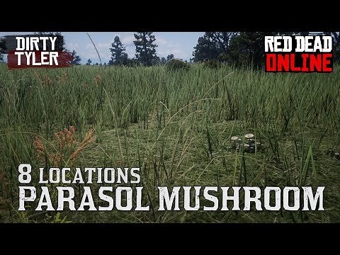 Parasol Mushroom RDR2 Online Locations for Daily Challenges Red Dead Online