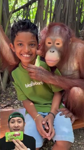 BADRU KENALAN SAMA ORANG UTAN‼️🤯😱‪@KLBROBijuRithvik1‬ #remix #dubbing #trending