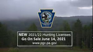 Buy your 2021-22 hunting license TODAY, June 14, 2021! Hunters can purchase their 2021-22 hunting license at any license issuing agent or online on Pennsylvania’s new licensing system, HuntFish.PA.gov. Click here for a map of issuing agents: https://bit.ly/3icKuk2. With a 14-day statewide concurrent antler and antlerless firearms season, expanded Sunday hunting opportunities and 187 elk licenses allotted across three seasons, Pennsylvania’s 2021-22 hunting seasons provide many opportunities for 