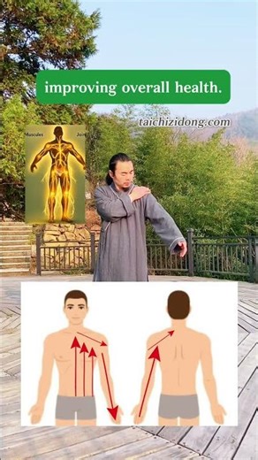 251258-The Complete Circulation Patting, Step-1