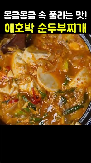 식당보다 맛있는 뚝배기 애호박 순두부찌개 황금레시피 🍲