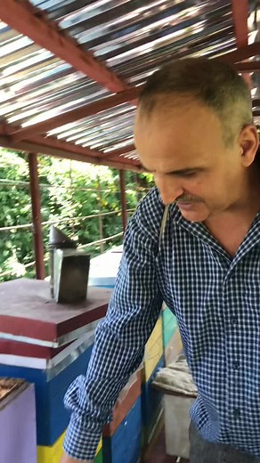 Polad Bədəlov (@arilar_alemi)’s videos with orijinal ses - Polad Bədəlov