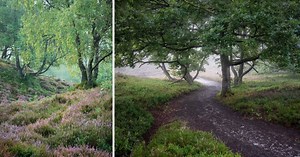 7 Tips for Creating a Sense of Depth in Your Landscape Photos