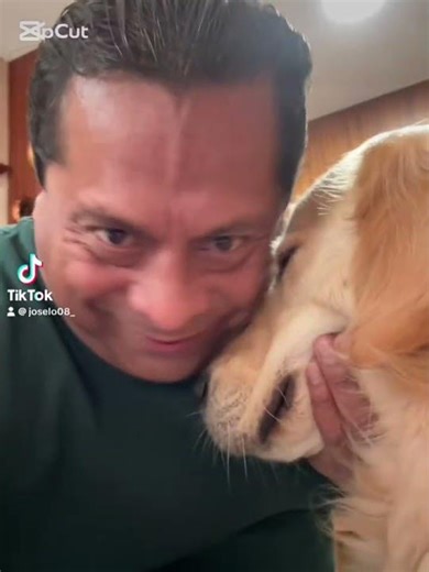 What a beautiful shell