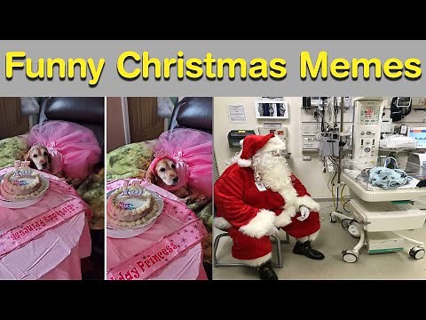 Funny Christmas Memes That Make the Holidays Even More Ridiculous 😂🎁|| Daily Humor
