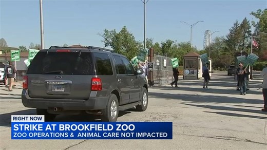 More than 100 Brookfield Zoo Chicago workers go on strike; some exhibits closed | Haystack News