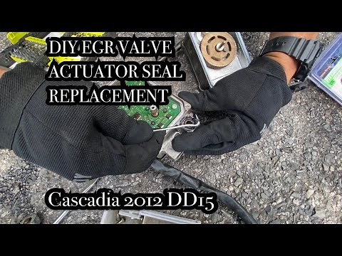 DIY EGR Valve actuator coolant leak DD15 o-ring replacement