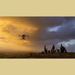 New dope lemon single󾕅󾓒 @dopelemonmusic | Dope Lemon