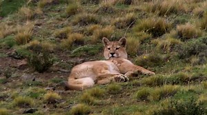 4.1K views · 93 reactions | Happy #MothersDay! There is no greater...