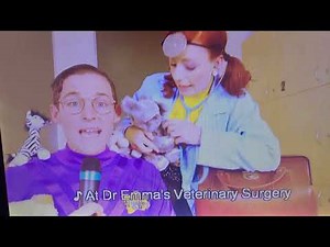 Dr. Emma's veterinary surgery