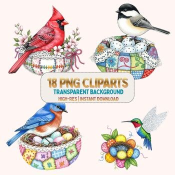 Spring Birds and Nests PNG Clipart Set Transparent Background 300 DPI